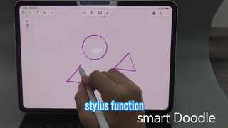 Stylus functions